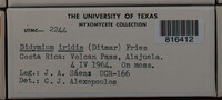 Image Associated With the Occurence